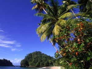 Beach in Trinidad